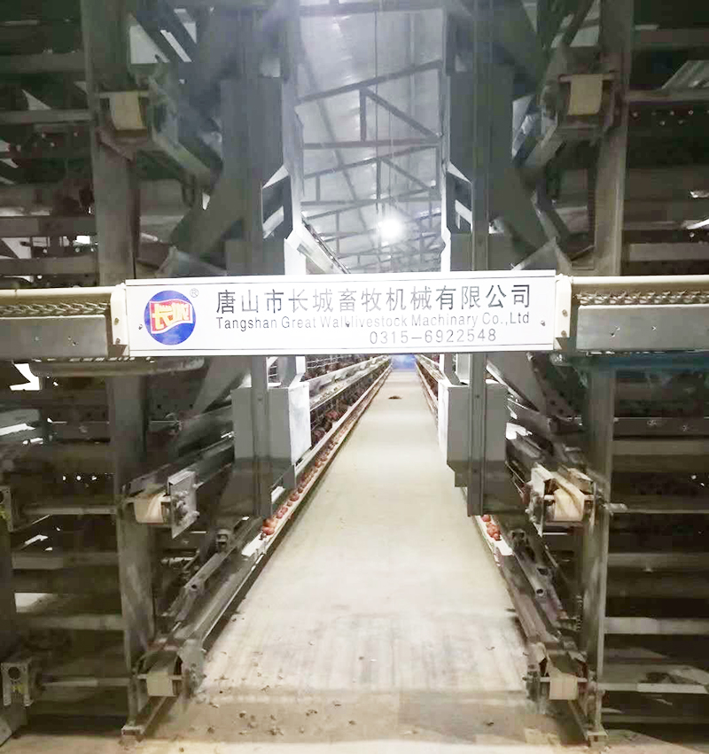 若是您想用自动化装备养蛋鸡，，，哪些蛋鸡装备是必不可少的？？？？